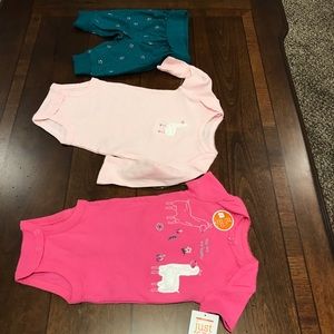 Carters 2 piece Baby Girl Outfit